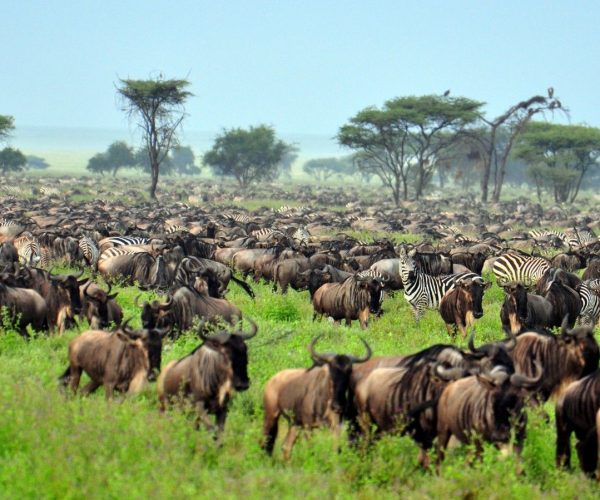 3-Day Northern Tanzania Budget Group Camping Safari