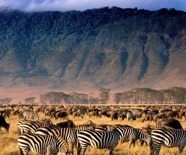 5-Day Northern Circuit Budget Camping Safari