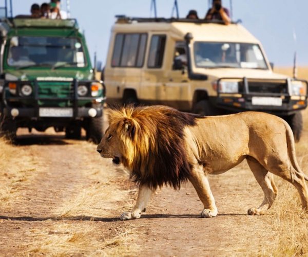 6 Days Tanzania Group & Camping Safari